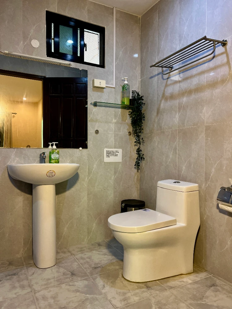 Large Family Room - Toilet and Sink