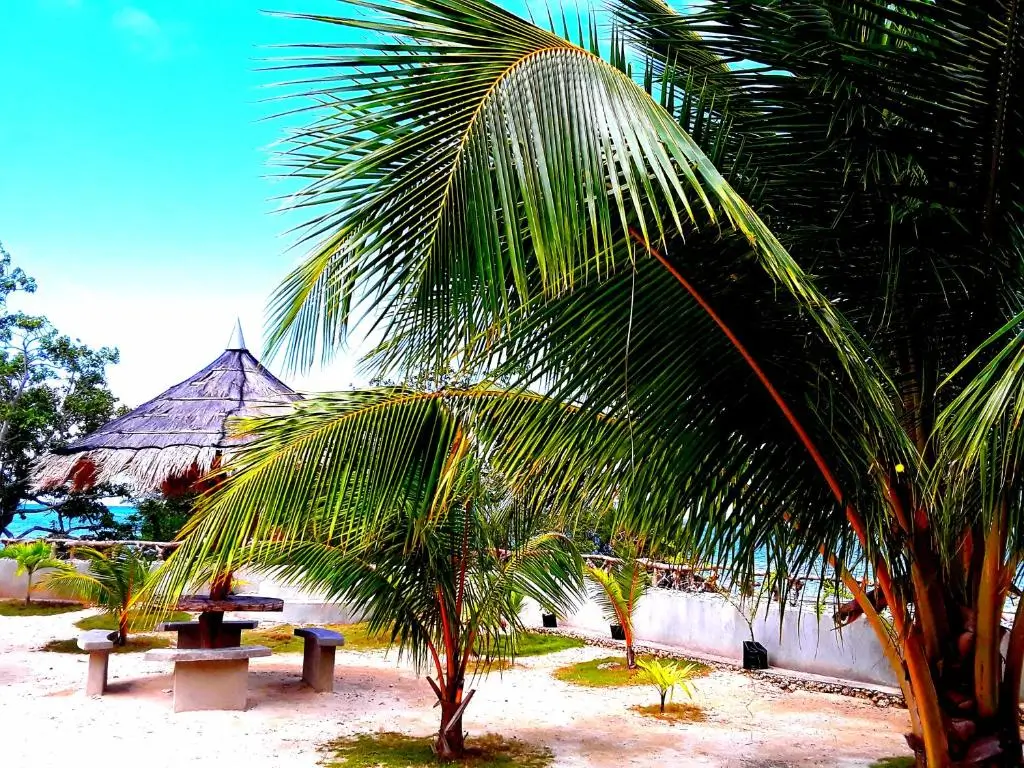 Adayo Cove Resort Pathway