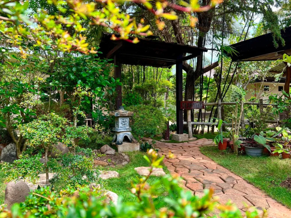 Nature View 2