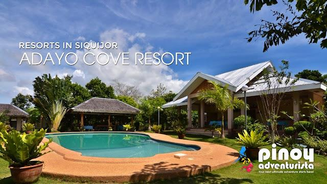 Illustration of a tropical resort with a swimming pool, palm trees and ocean views in Siquijor