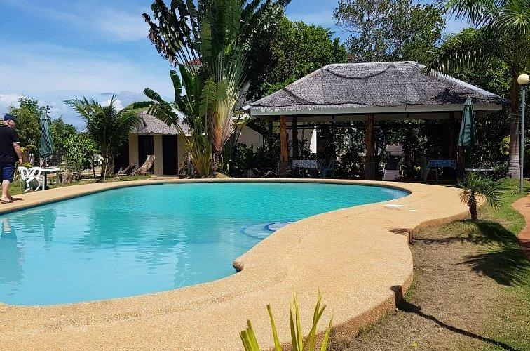 Tropical resort swimming pool with palm trees, sun loungers and ocean scenery, illustrative of a Siquijor island getaway